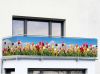 KLiNGEL Privacyscherm balkon Tulpenveld online kopen